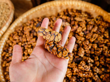 Como é produzido o café mais caro do mundo