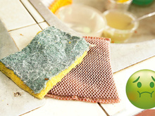 Esse é o tempo certo para trocar a sua esponja de lavar louça; aprenda também como higienizar o utensílio