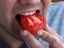 Ela criou um tomate com sabor de hambúrguer com a ajuda de inteligência artificial: a jovem de 17 anos já obteve a patente nos Estados Unidos