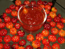 Geleia de Pimenta Biquinho