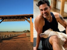 Fazenda de Zezé Di Camargo em Araguapaz, no interior de Goiás, é transformada em um verdadeiro santuário de animais resgatados; local tem proibição de abate e cerca de 1.500 hectares