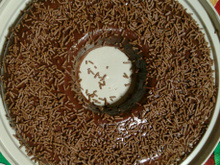 Brigadeirão de microondas