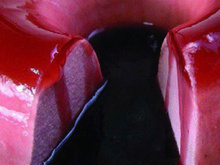 Mousse de uva delícia com calda de vinho tinto