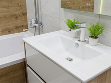 Japoneses evitam spray no banheiro: o truque natural com plantas que elimina odores