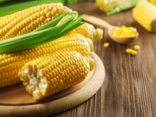 Como cozinhar milho: veja 3 maneiras diferentes de fazer essa delícia