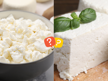 Creme de ricota, requeijão light ou queijo cottage? Veja as diferenças e saiba qual é a melhor opção para o dia a dia