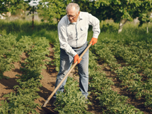 Aos 100 anos, ele ainda cultiva os próprios alimentos e guarda hábitos simples que podem explicar sua longevidade: conheça a história de Carabín