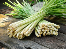 6 benefícios do capim-limão para a saúde