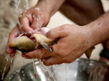 Como limpar peixe: confira as dicas do TudoGostoso