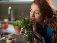 A erva sagrada que vale ouro: reduz o estresse, ajuda no crescimento dos cabelos, melhora a digestão e alivia dores musculares