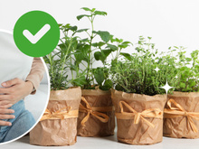 Essa erva aromática que você tem em casa é mágica contra o inchaço (quase ninguém sabe!)