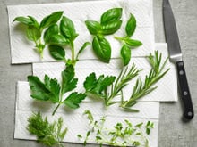 Utilidades do papel-toalha: confira 10 truques