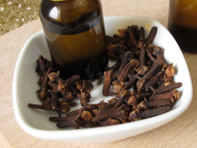 Basta um punhado em um pratinho para proteger a casa inteira contra mosquitos: agora durmo tranquilo e com a janela aberta