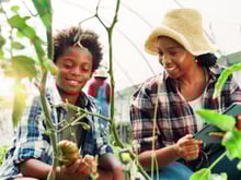 Por que seu filho deveria cultivar plantas? A psicologia explica (e os benefícios são surpreendentes!)