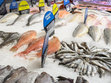 Dois tipos de peixe, ricos em ômega-3, como o salmão, repletos de benefícios a um preço acessível