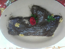 Tronco de Natal