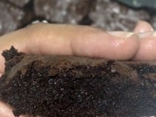 Brownie perfeição da Wilnna