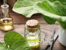 Bardana: o que acontece com o corpo se você consumir a planta in natura?