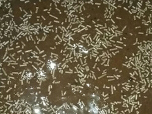 Bolo de chocolate fácil e gostoso