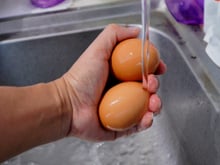 Saiba se devemos ou não lavar o ovo: tire sua dúvida