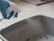 O que significa quando recomendam colocar vinagre na caixa de areia do gato? A explicação que quase ninguém sabe