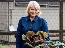 Martha Stewart, aos 84 anos: "Caminho bastante, três vezes por semana faço sessões de pilates de 45 minutos e duas vezes por semana uso halteres e aparelhos. Uso praticamente os mesmos pesos de sempre, então estou muito forte"