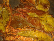 Lagosta assada