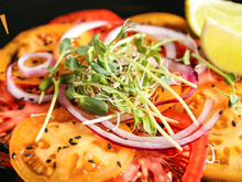 A salada de tomate de 5 minutos que não consigo parar de fazer tem apenas 3 ingredientes e é muito saborosa