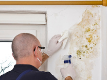 Esse ingrediente simples limpa até manchas de café das paredes, mas você precisa agir rápido