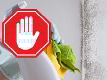 Não passe pano na parede mofada sem antes ler isso, você pode colocar a sua vida em risco!