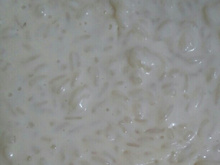Arroz doce cremoso