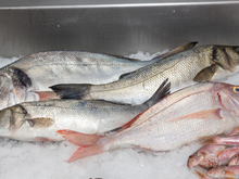 Nem salmão, nem atum: o peixe brasileiro que virou destaque no ranking dos alimentos mais saudáveis do mundo