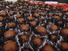 Trufa de chocolate