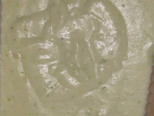 Creme de aspargo fácil