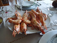 Camarão tigre dos deuses