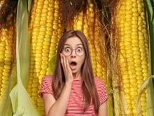 Com quantos anos você descobriu que a melhor forma de tirar os fiapos do milho é com um papel-toalha?