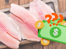 Por que o filé de tilápia tá caro? Descubra quais são os peixes mais baratos para fazer durante a Quaresma e Páscoa?