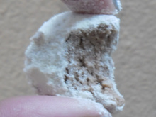 Doce de leite em pó