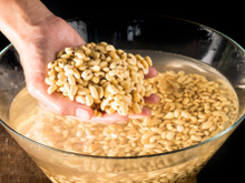 Por que colocamos os grãos de feijão de molho? Descubra benefícios!