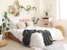 Seu quarto pode ficar mais agradável com estas 5 plantas: TudoGostoso explica como elas podem contribuir para o bem-estar