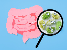 O que é essa tal de microbiota intestinal que estão falando nas redes sociais e como ela afeta a nossa saúde?