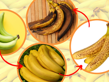 A hora certa de comer a banana: verde, amarela, manchada ou marrom, descubra o que muda nos benefícios de acordo com o amadurecimento da fruta