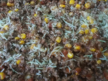 Macarrão a Bolonhesa