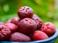 Muitos brasileiros comiam essa fruta na infância, mas poucos sabem que ela previne o infarto e regula a pressão