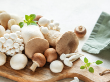 Truque para manter o frescor dos cogumelos não depende apenas de como você os guarda, mas também da maneira como você os manuseia