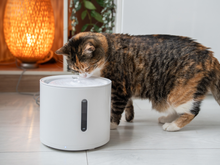 Para além dos smartphones, a marca chinesa, Xiaomi aposta nos cuidados com a casa