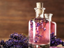 Esse é o óleo natural que combate uma das pragas mais difíceis de exterminar em casa