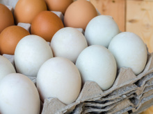 Ovo marrom e ovo branco: quais são as diferenças