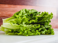 Já ouviu falar de leite de alface? Descubra o que é e os benefícios do líquido