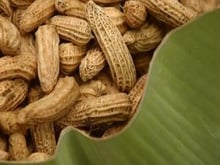 Cajuzinhos de amendoim